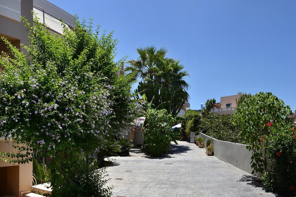 Agia Marina Akatos Hotel المظهر الخارجي الصورة